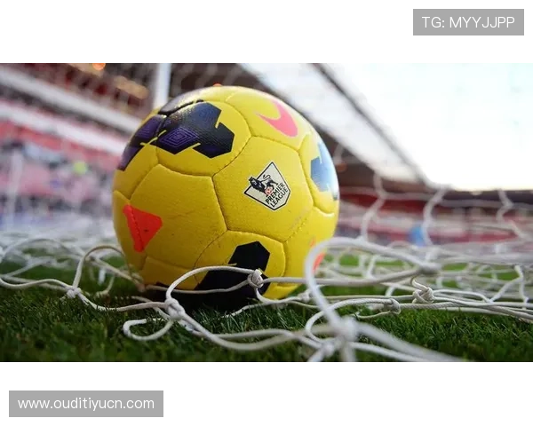 九鼎体育合作伙伴：与国内外知名体育机构的合作模式与未来规划