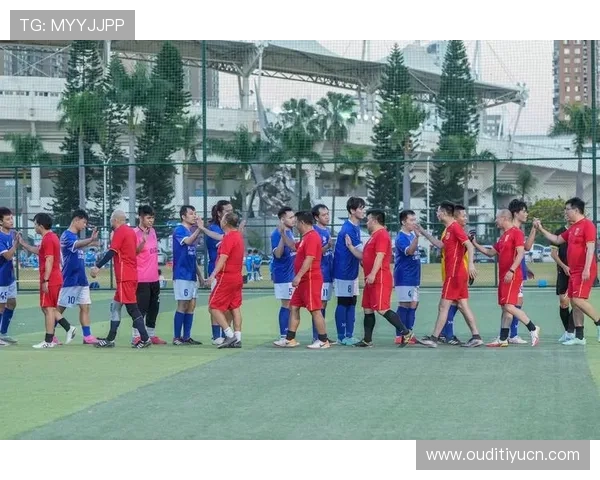 ued体育平台的多元化体育赛事覆盖范围分析满足不同用户的多样化观看需求