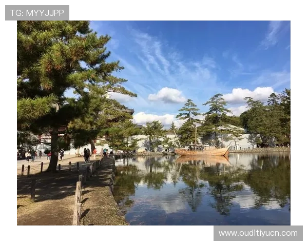 东赢体育赛事直播与投注指南：提升您的投注体验与赢率技巧