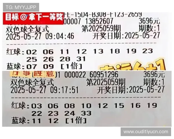 双色球篮色球实时投注热力图助你精准把握热门投注区域提升中奖几率